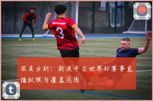 深度分析：新浪平台世界杯赛事直播权限与覆盖范围