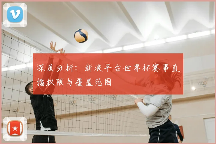 深度分析：新浪平台世界杯赛事直播权限与覆盖范围